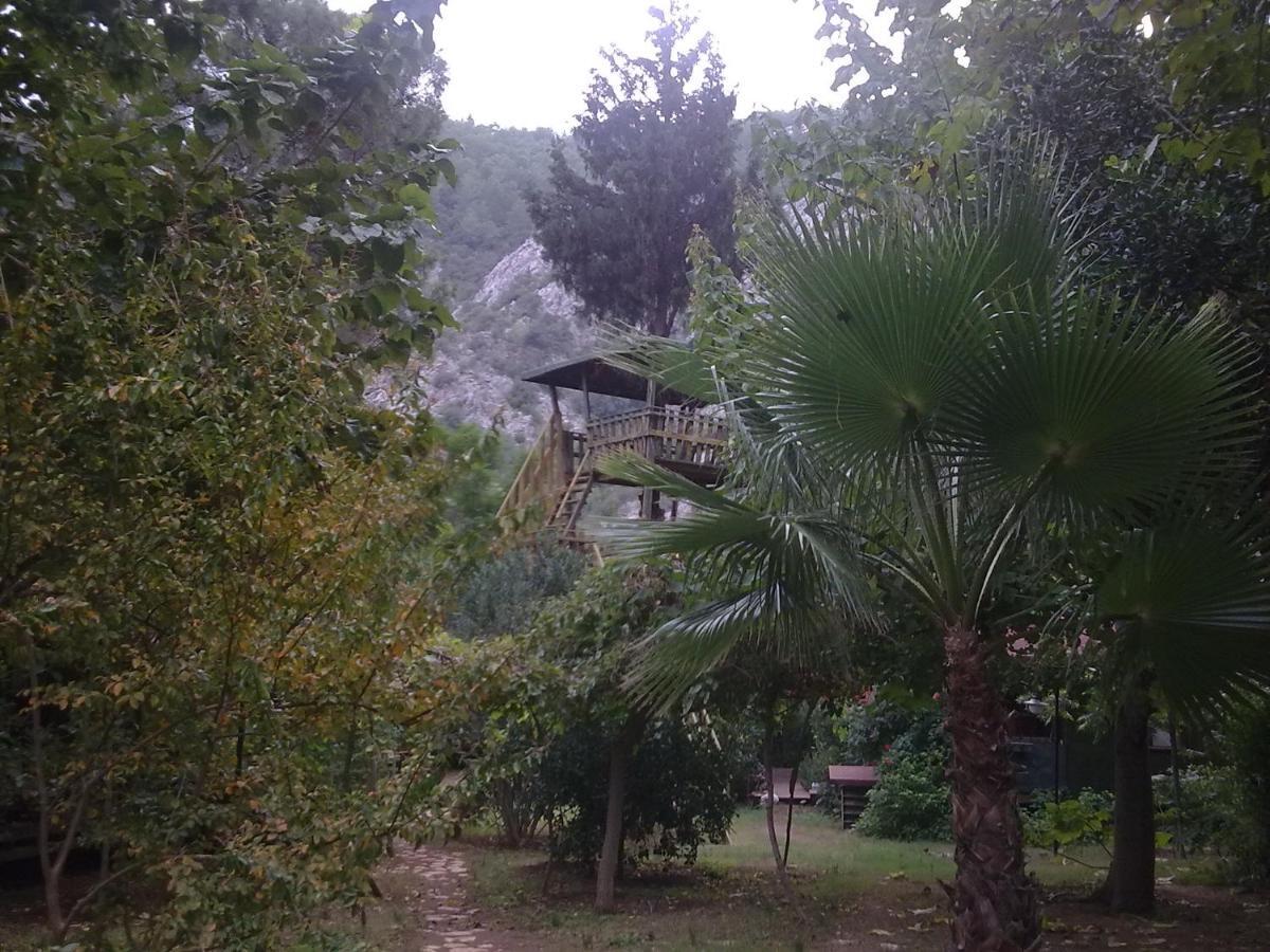 Kibala Hotel Cirali Exterior photo